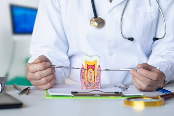 Best Emergency Root Canal Treatment in Boling, TX